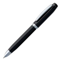 Металлические ручки - Ручка шариковая Viaggi в футляре - Ручка шариковая Viaggi в футляре
