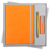 Наборы с ручками - Набор Vivid Energy, оранжевый - Набор Vivid Energy, оранжевый