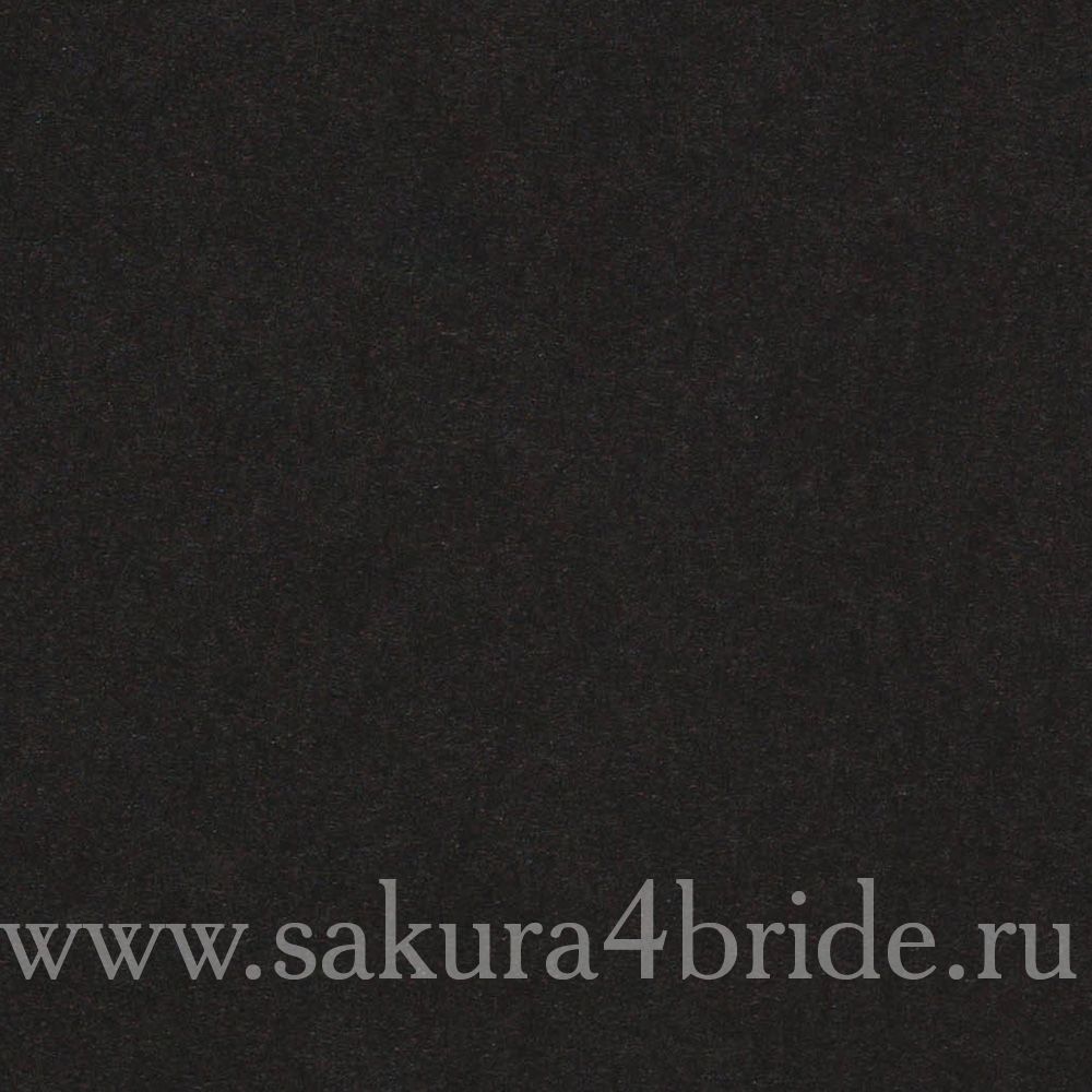Свадебные приглашения Erdem - Конкуэрор матовый чернильно-черный 300г/м2