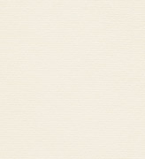 Дизайнерский картон белый и айвори - РИВС Лэйд кремовый 120г - 